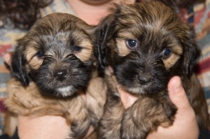 That's me on the left