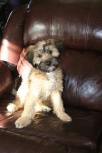13 weeks